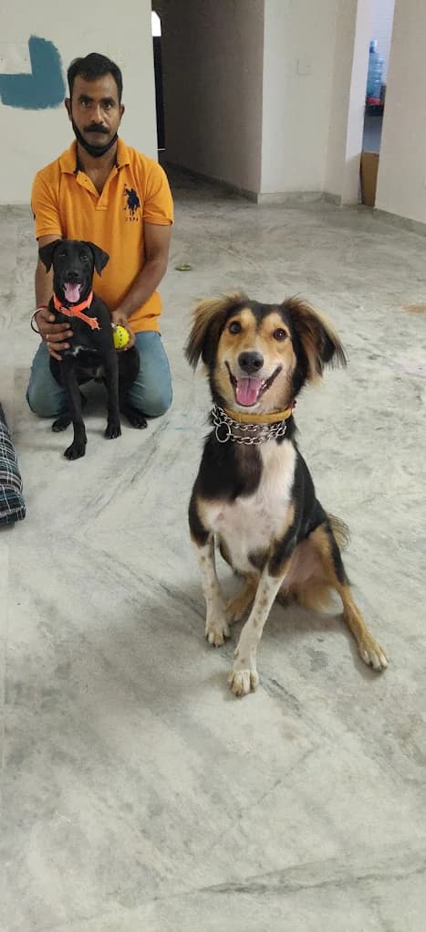 Man with two dogs indoors