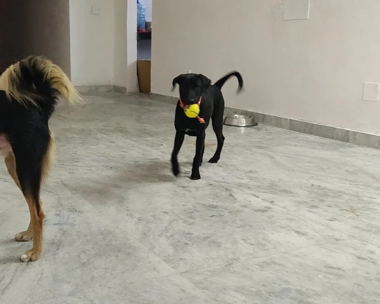 Extended Long Stays image